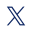 x-icon